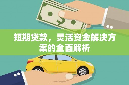北塔短期贷款，灵活资金解决方案的全面解析