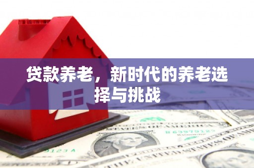 北塔贷款养老，新时代的养老选择与挑战
