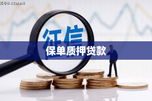 北塔保单质押贷款