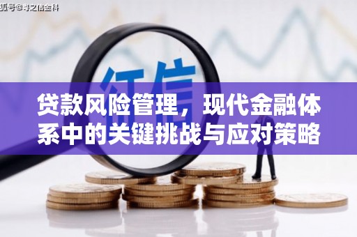 北塔贷款风险管理，现代金融体系中的关键挑战与应对策略