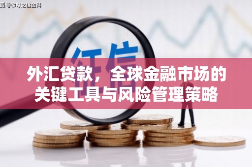 北塔外汇贷款，全球金融市场的关键工具与风险管理策略