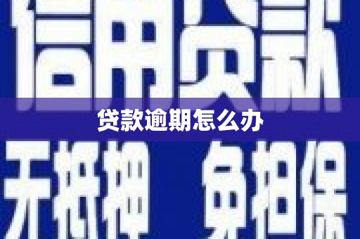 北塔贷款逾期怎么办