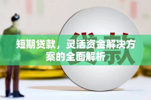 北塔短期贷款，灵活资金解决方案的全面解析