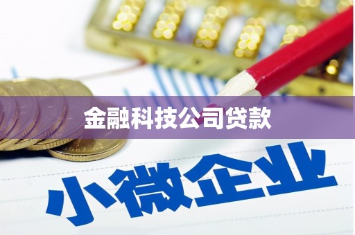 北塔金融科技公司贷款