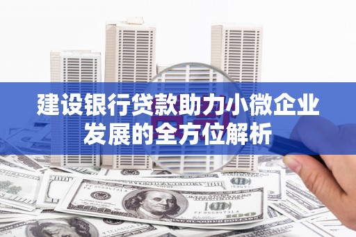 北塔建设银行贷款助力小微企业发展的全方位解析