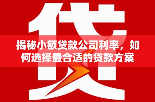 北塔揭秘小额贷款公司利率，如何选择最合适的贷款方案
