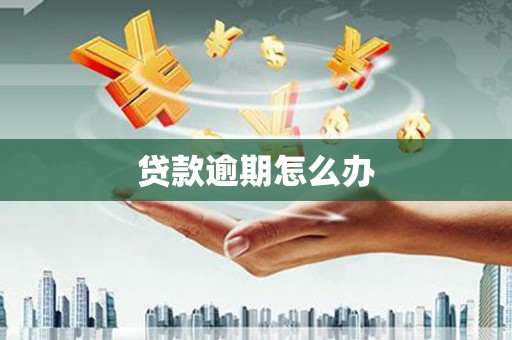 北塔贷款逾期怎么办