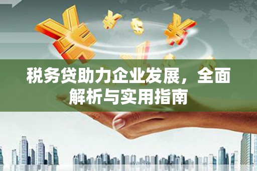 北塔税务贷助力企业发展，全面解析与实用指南