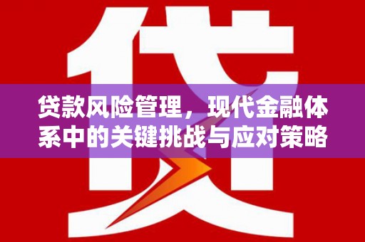 北塔贷款风险管理，现代金融体系中的关键挑战与应对策略