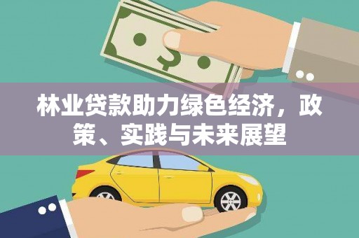 北塔林业贷款助力绿色经济，政策、实践与未来展望