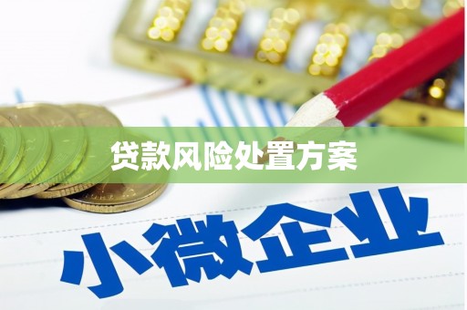 北塔贷款风险处置方案